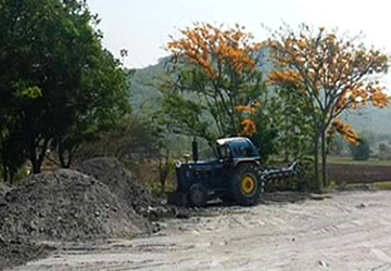 Improve the landscape around the temple, Bo Wong Khru Temple